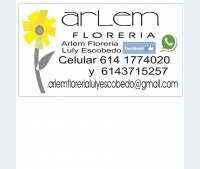 Logo de ARLEM FLORERÃA LULY ESCOBEDO