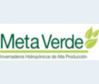 Logo de META VERDE, INVERNADEROS HIDROPÓNICOS DE ALTA PRODUCTIVIDAD