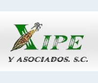 Logo de XIPE Y ASOCIADOS S.C.