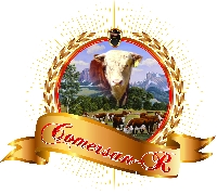 Logo de COMERCIALIZADORA SAN RAFAEL